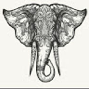 Meet your Posher, Lexi